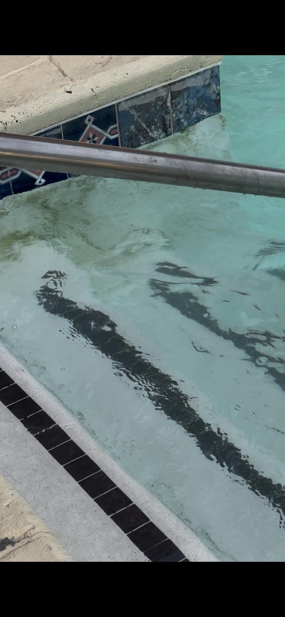 Green mold/slime in the pools 