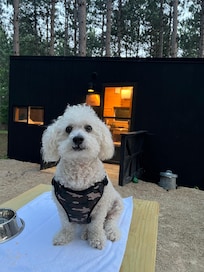 Exelente lugar para llevar tus mascotas