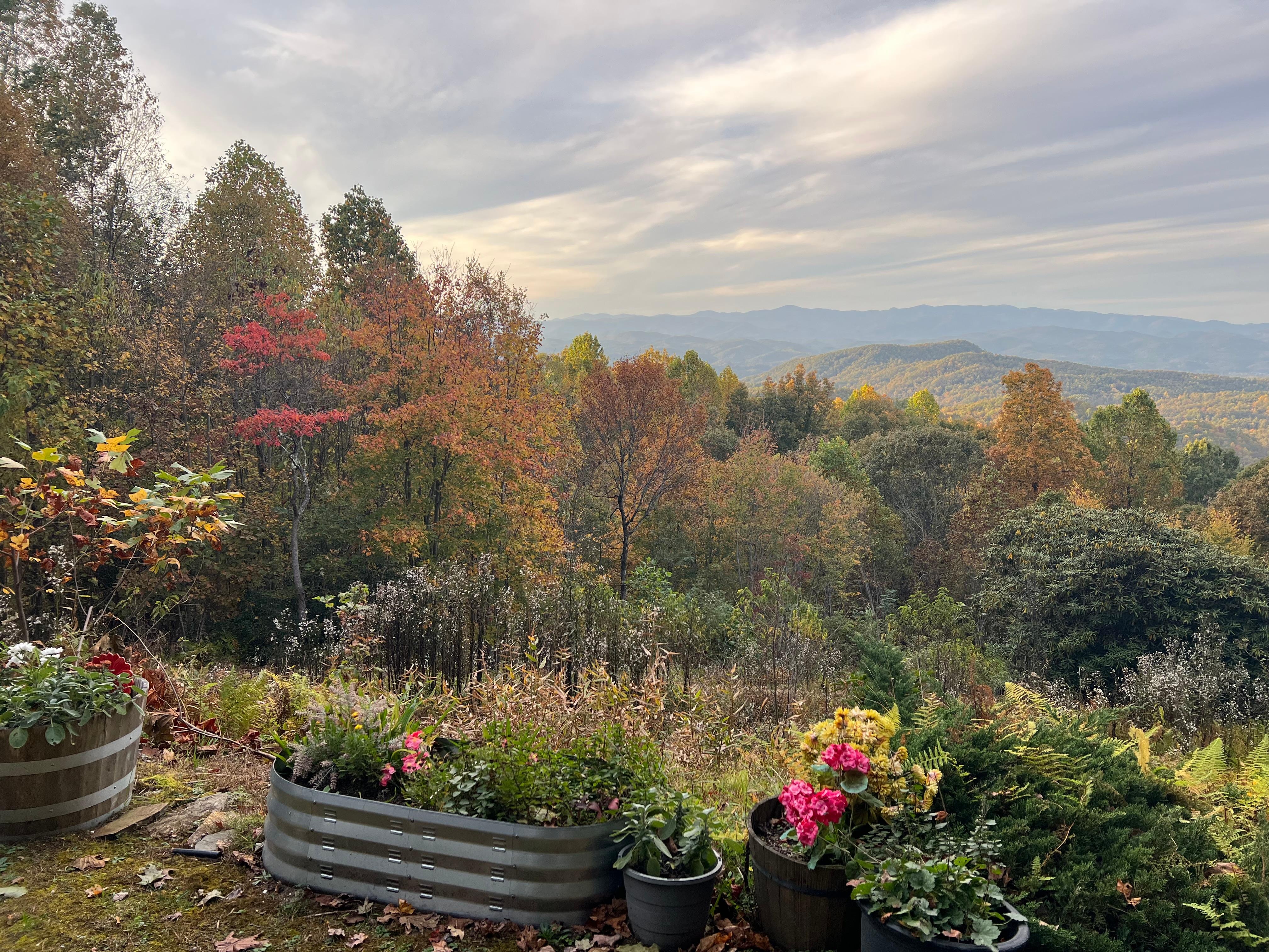 Beautiful fall colors.  
