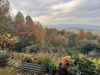 Beautiful fall colors.