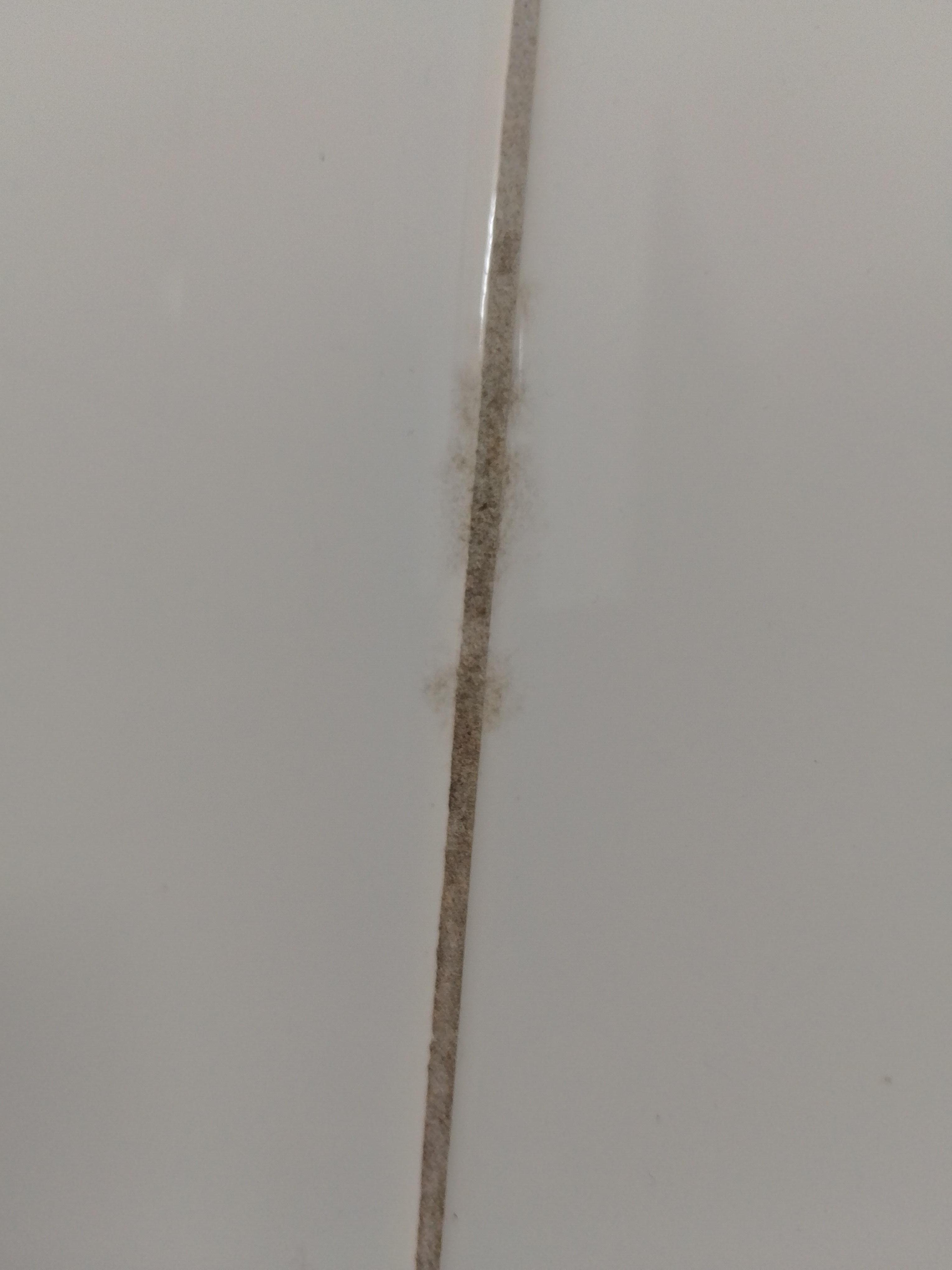 Mold on grout