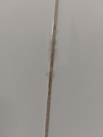 Mold on grout