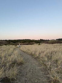 Trail to the beach