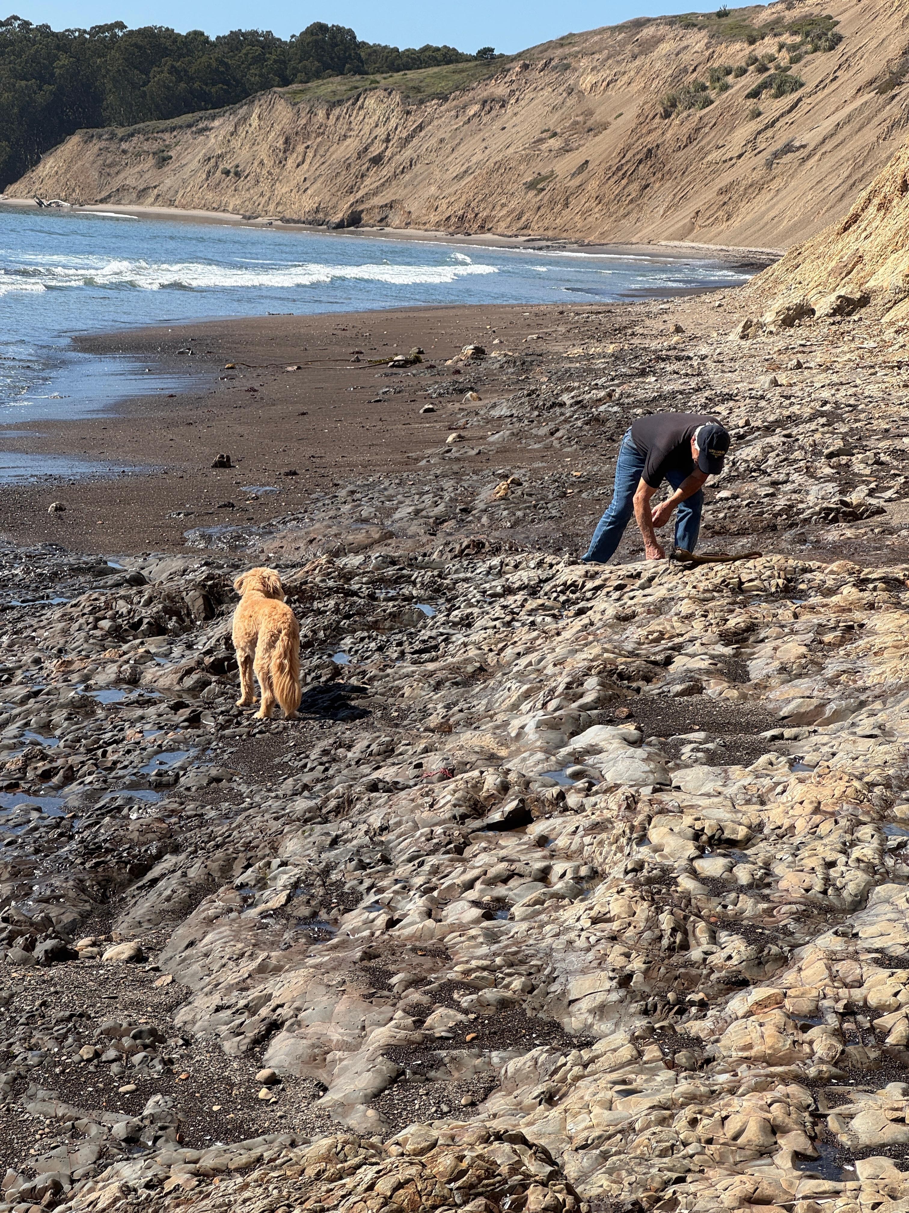 Agate Beach,  Bolinas