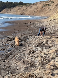 Agate Beach, Bolinas