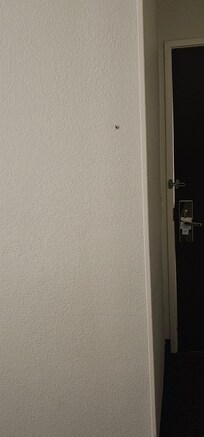 Here's the roach that decided to make an appearance