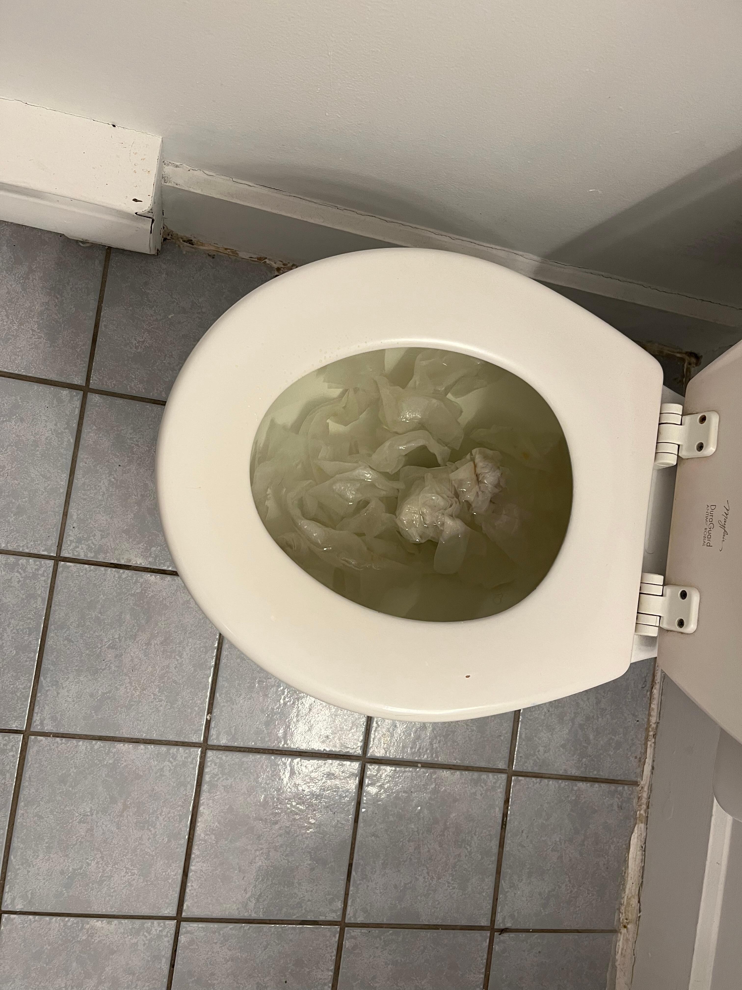 Clogged toilet 