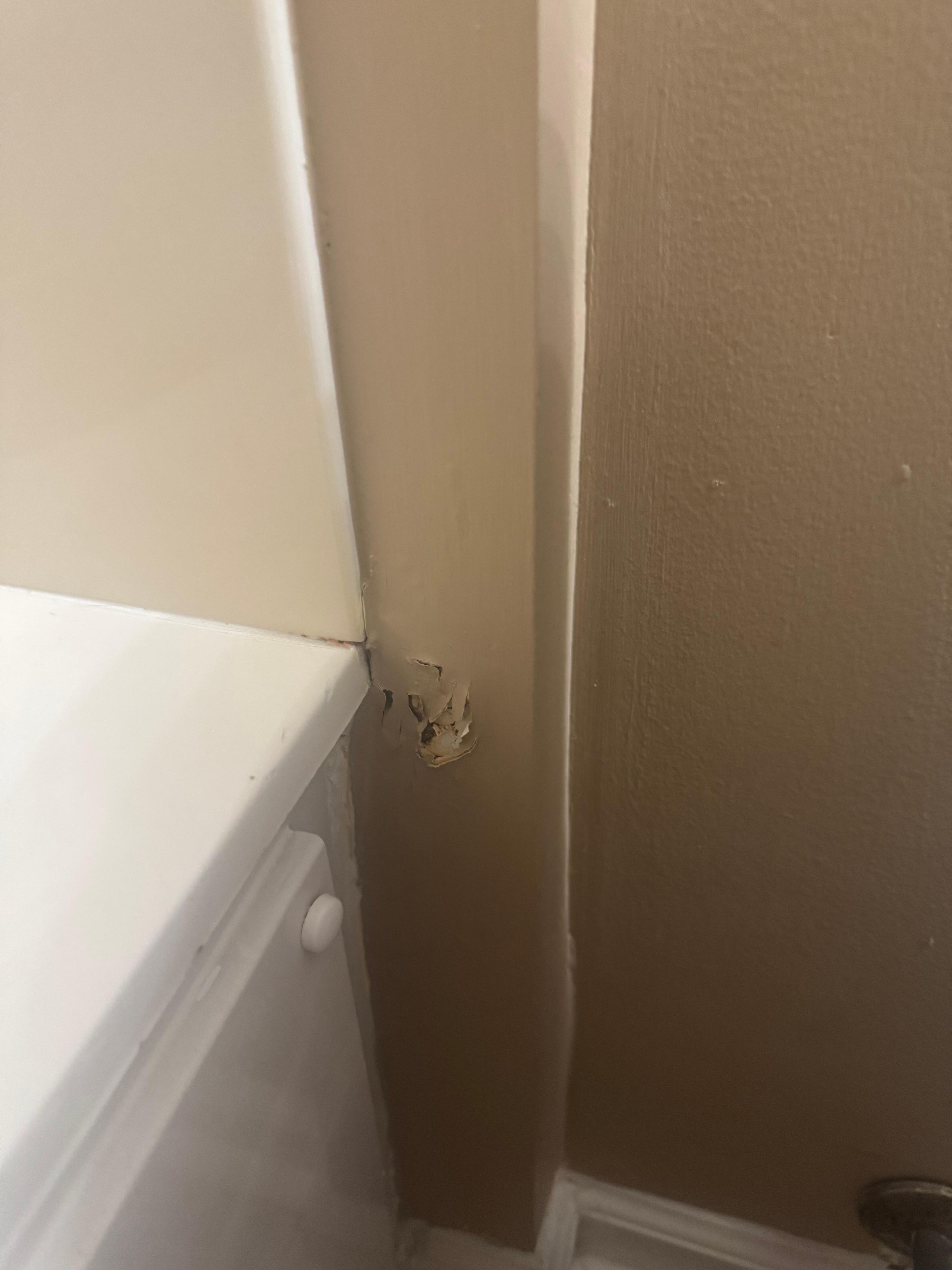 There is a hole in the wall beside the toilet in the hallway bathroom 