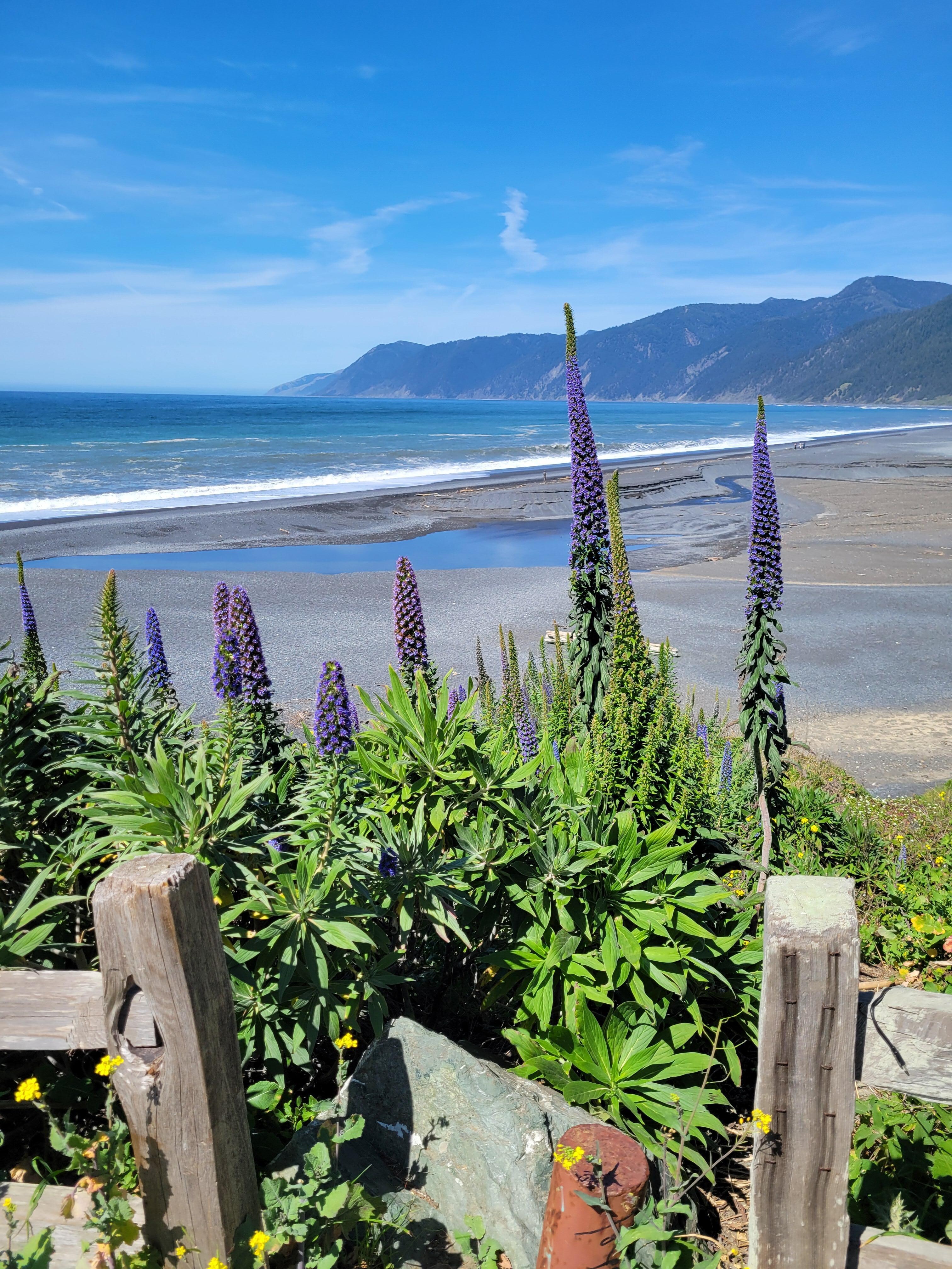 Beautiful Black Sands beach