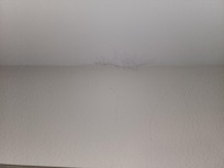 Cobwebs all around top of room