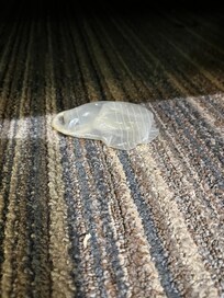 Used condom under bed.
