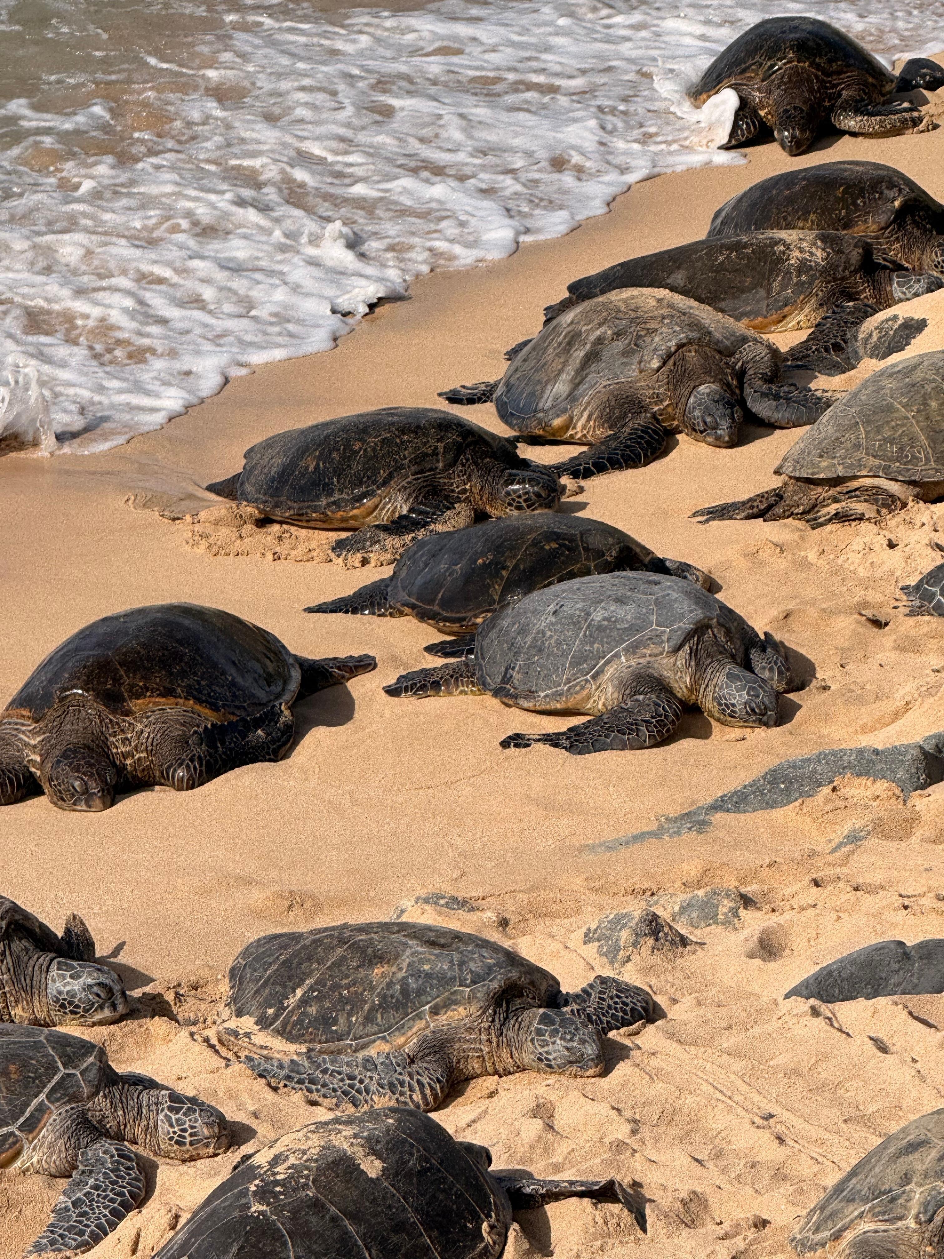 Early morning full moon