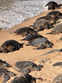 Early morning full moon