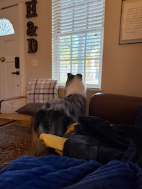 Good morning Nevada Cityâïž