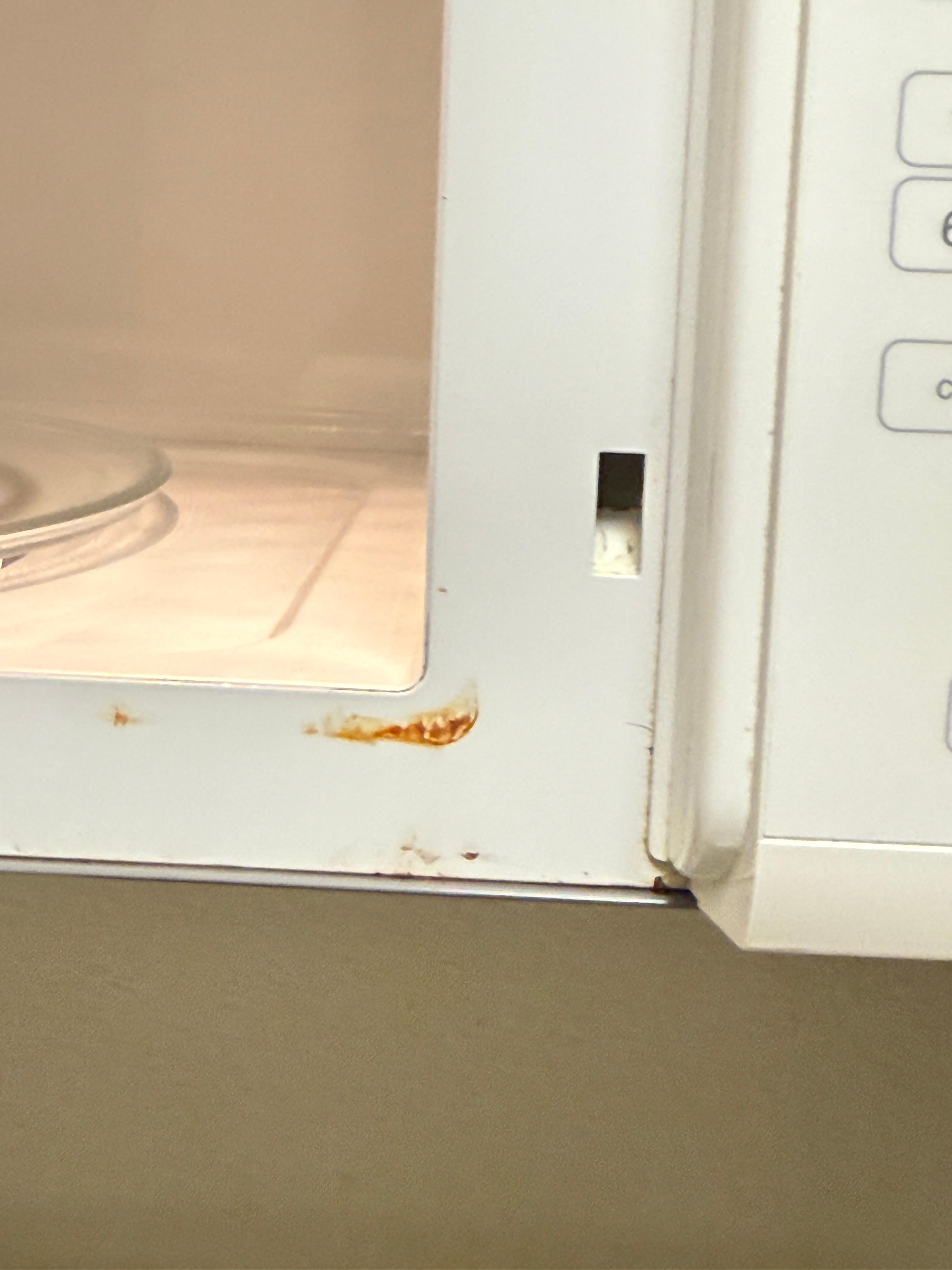 Something growing on microwave 