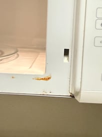 Something growing on microwave