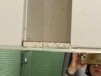 Mouldy bathroom shelves