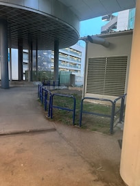 Vista da janela