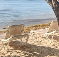 Awful smell of seaweed