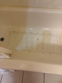 Mold in the tub.