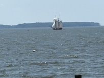 Interesting activity on the river