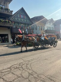 Leavenworth horse drawn carriage.