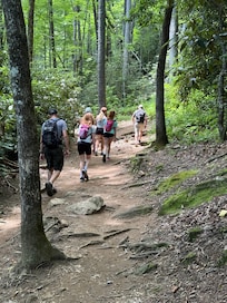 Trail