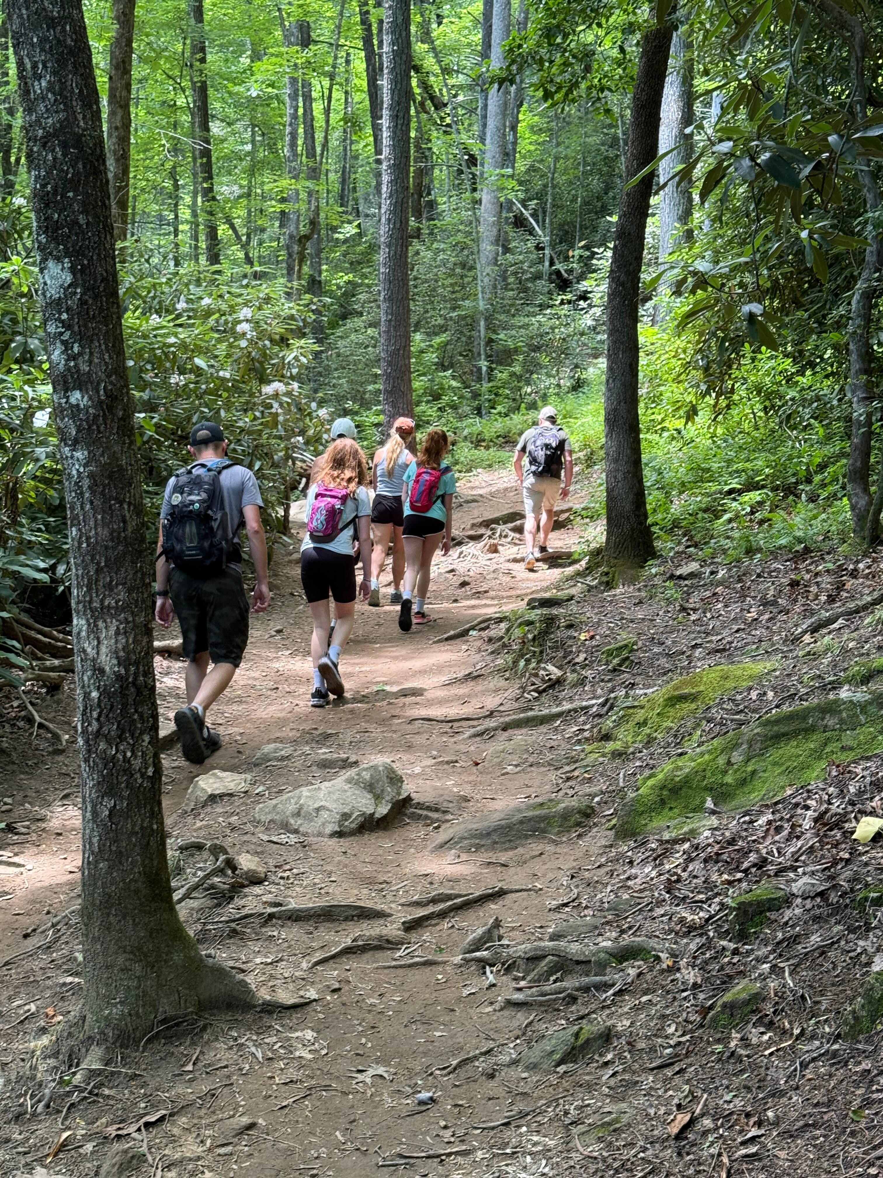 Trail