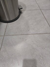 Dirty floor