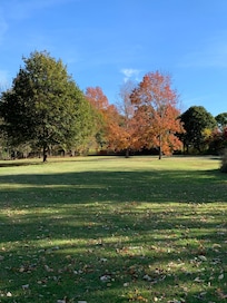 Beautiful grounds