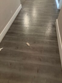 Garbage in hall