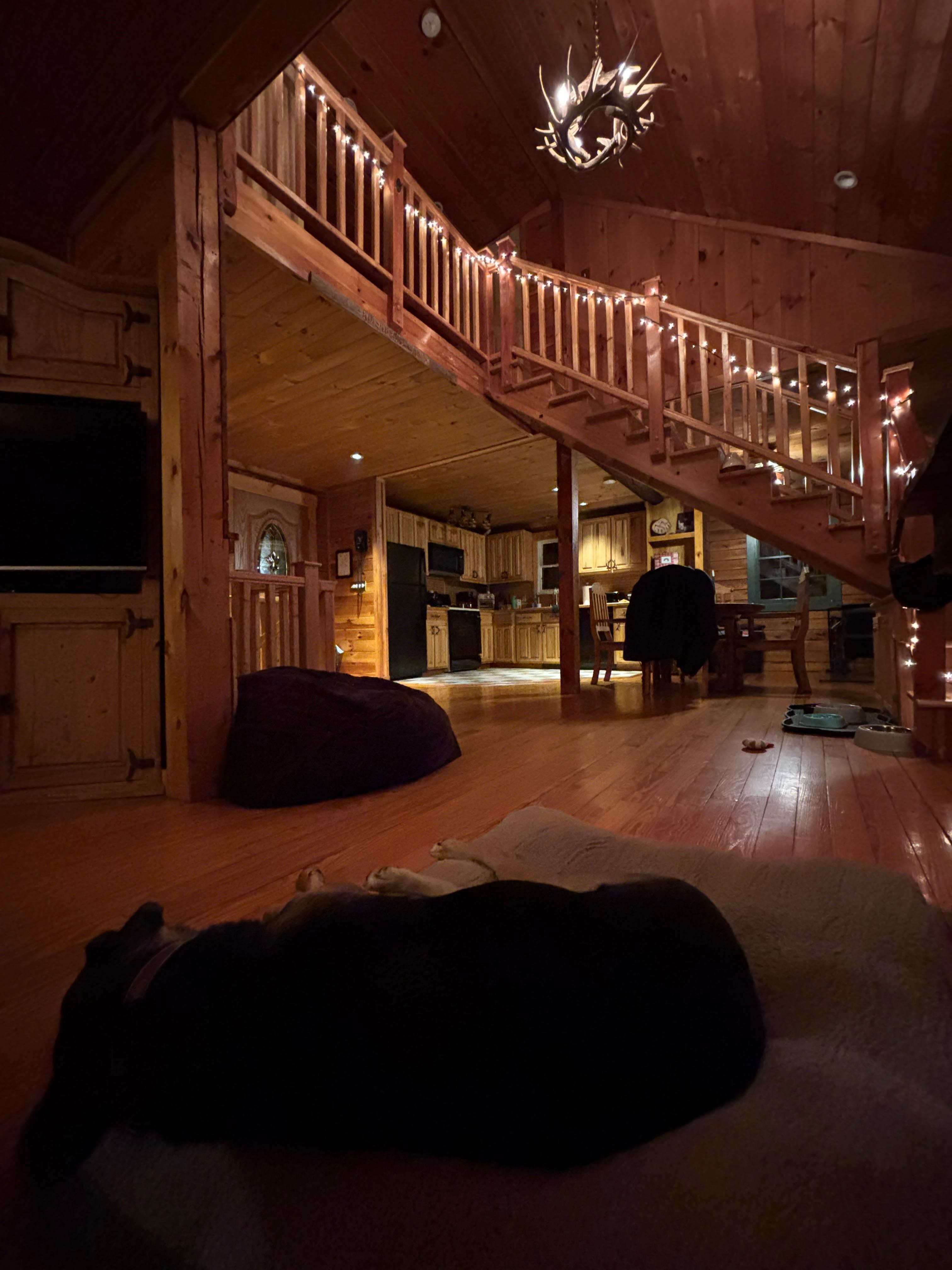 Love the open floor plan and string lights!