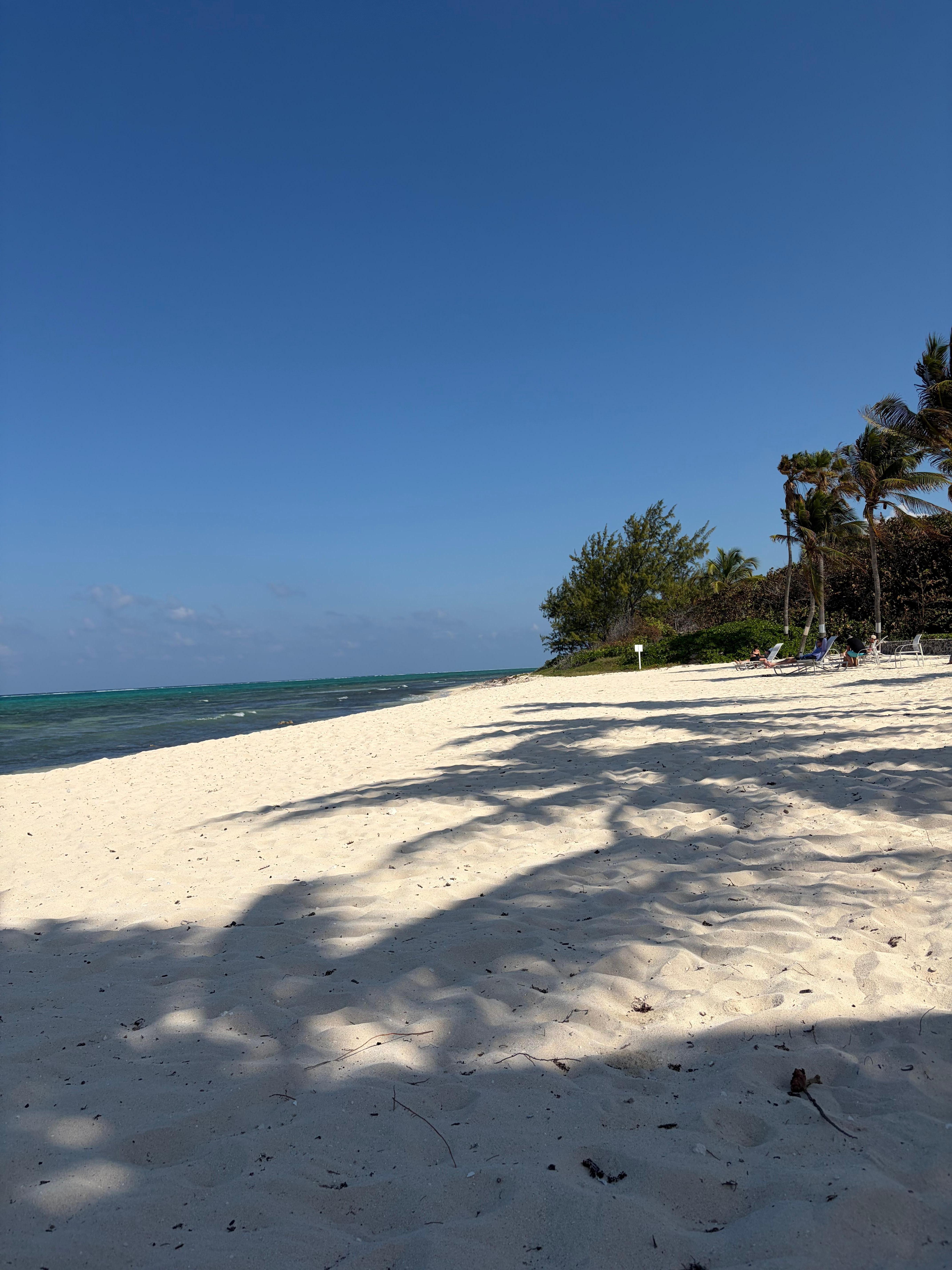 Beach at the condo