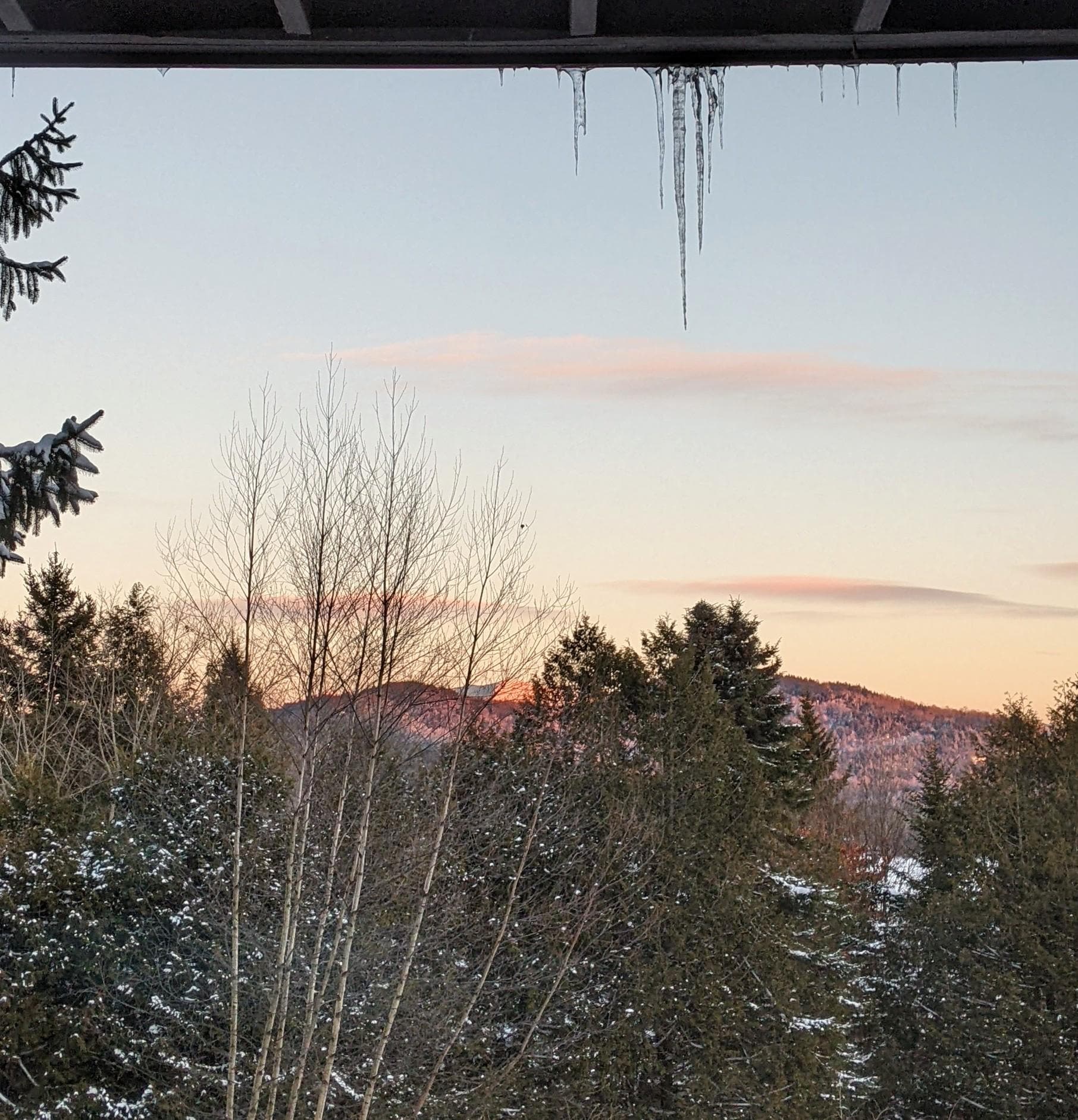 The view from the main living area