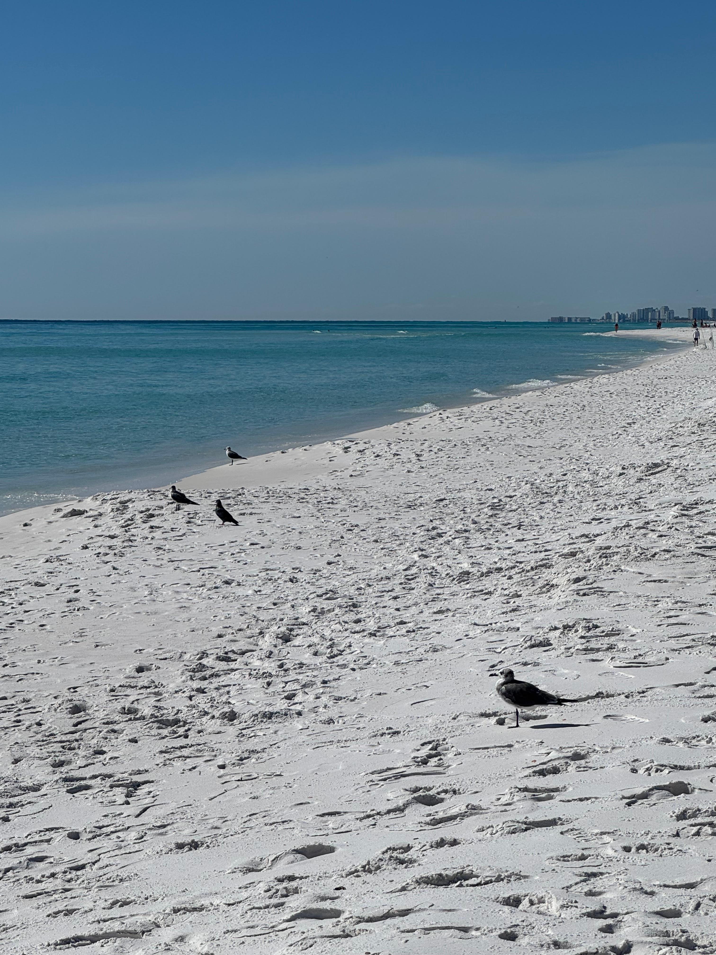 Beach across the street 