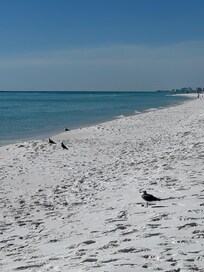 Beach across the street