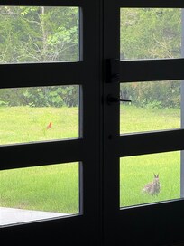 Our view from the front door in the morning.