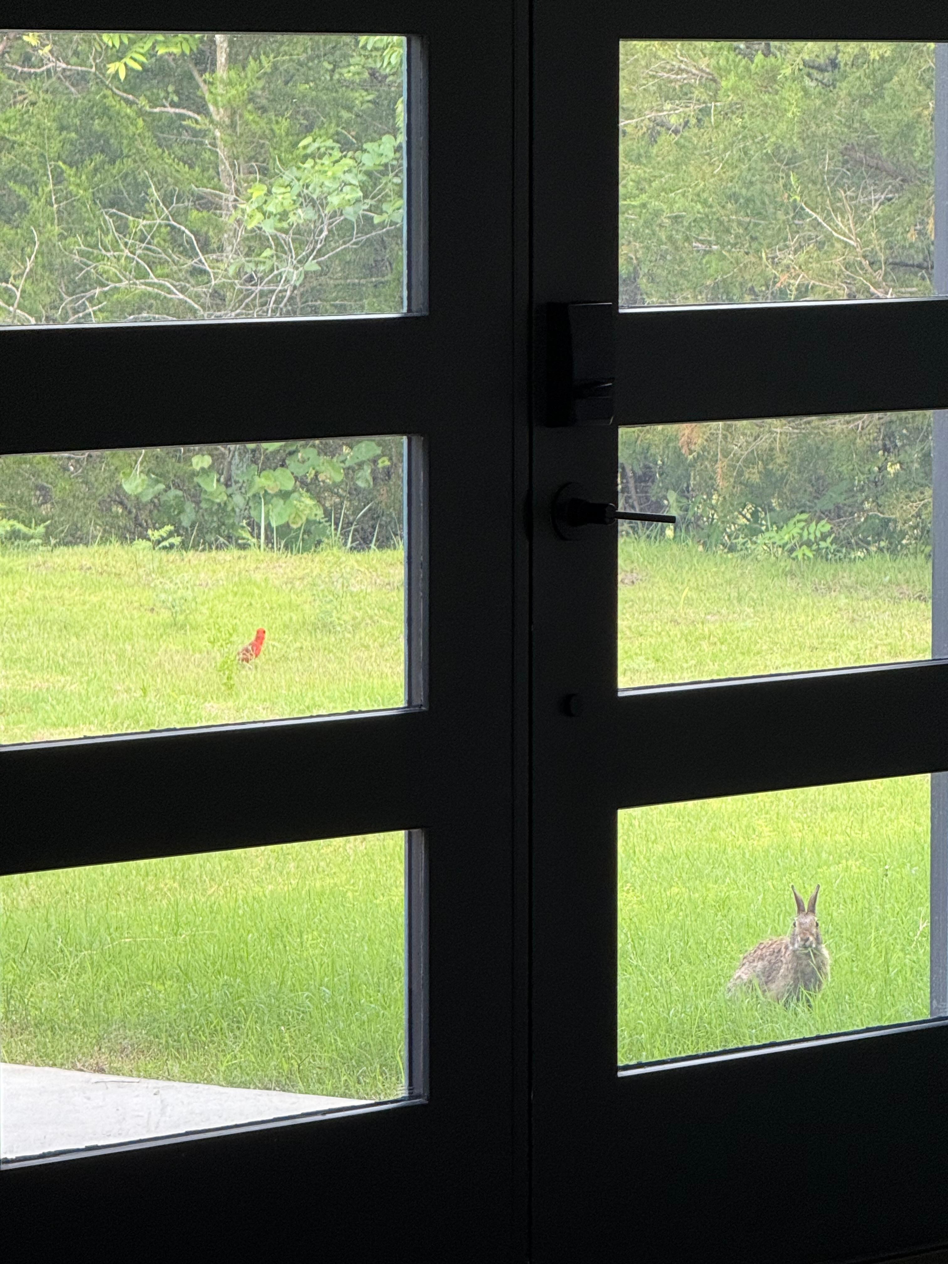 Our view from the front door in the morning. 