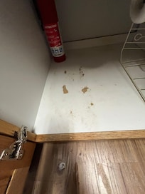 Damage to cupboard where garbage located