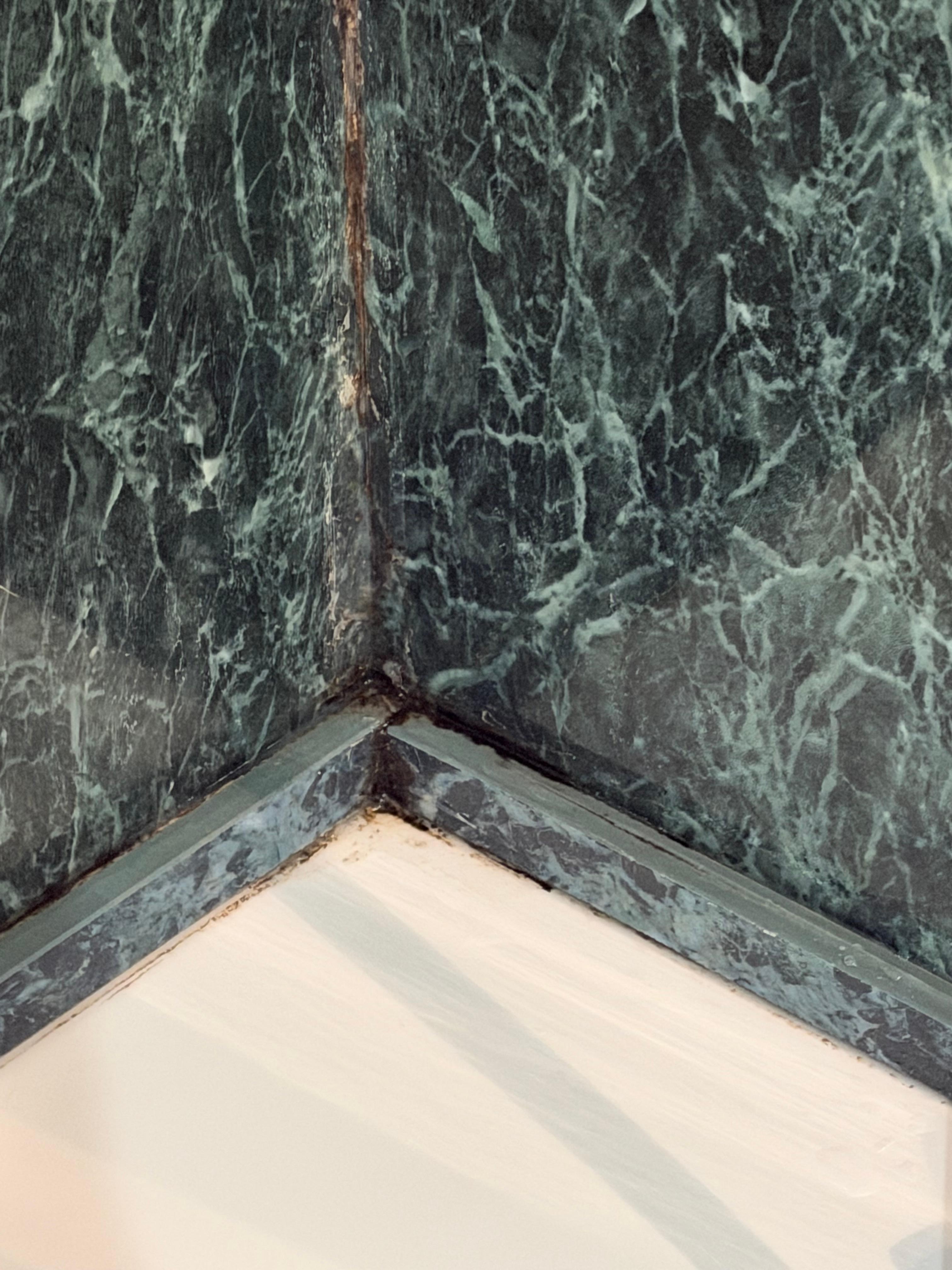 Black mold in the shower 