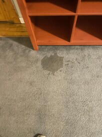 Carpet in LR