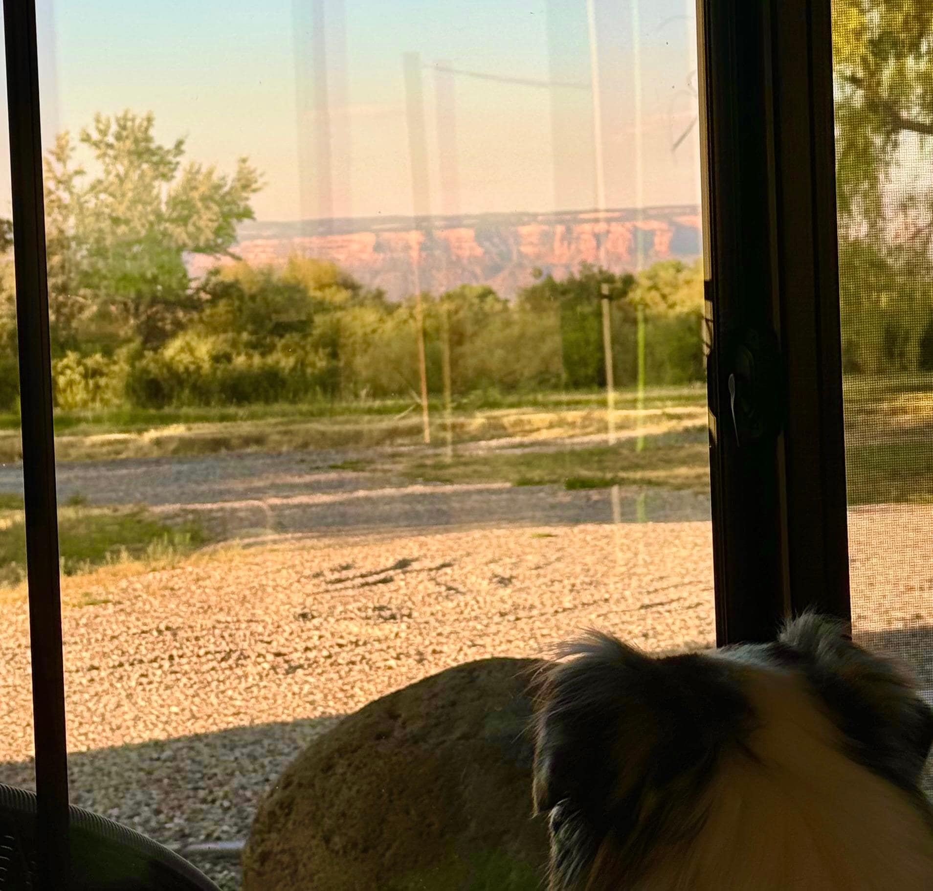 View from the couch. 