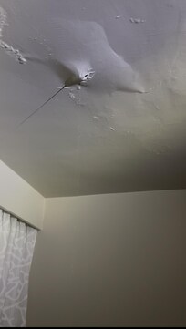 Leak in ceiling damaged daughters makeup