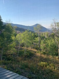 View from the back balcony.