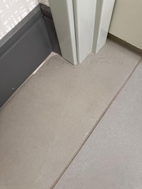 The short and curly hairs . Yuck