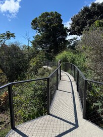 Walkout at the house