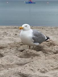 Am Strand