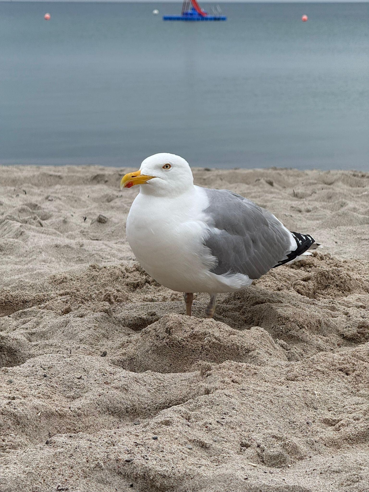 Am Strand