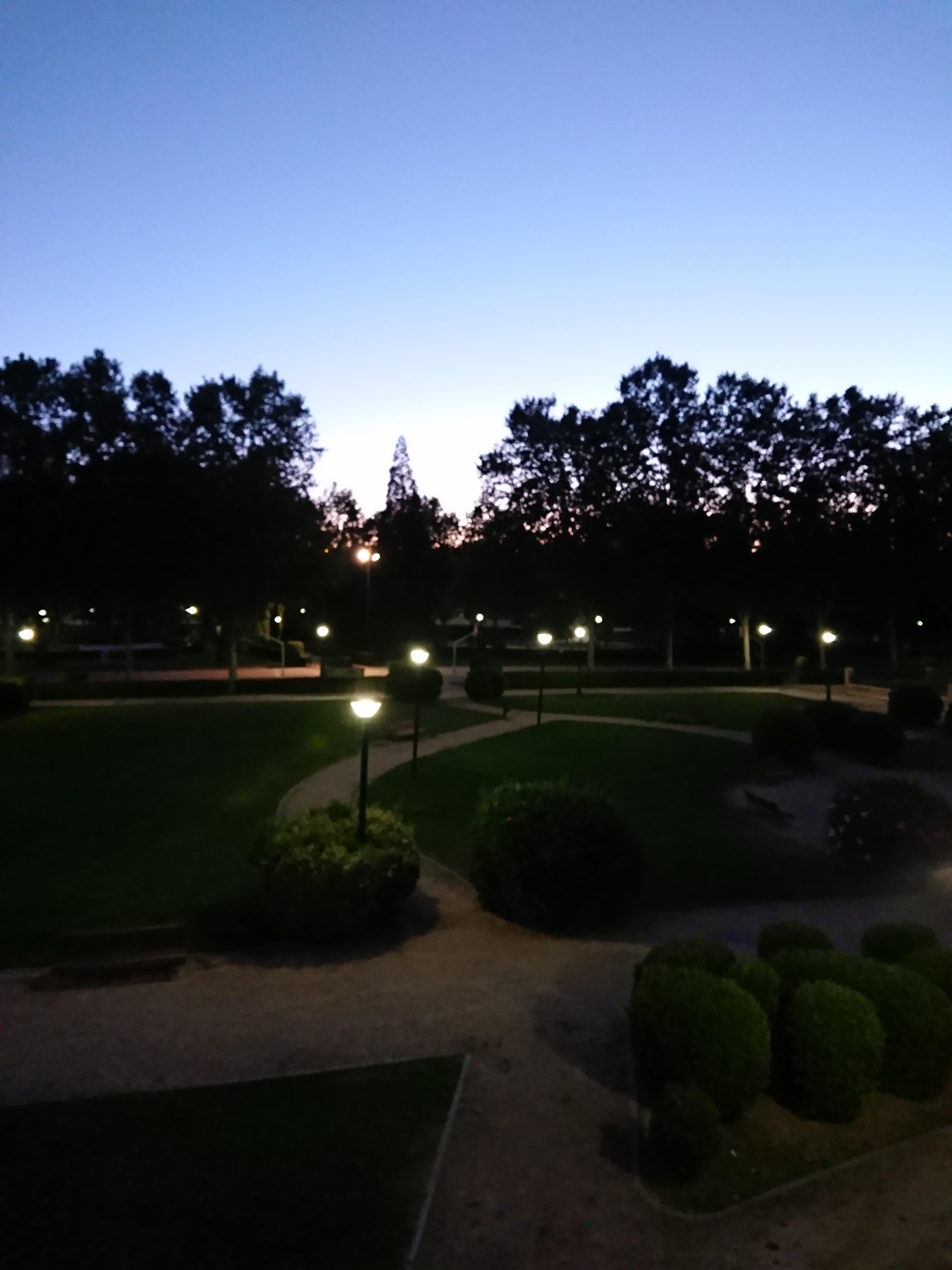 Vista desde la habitación 