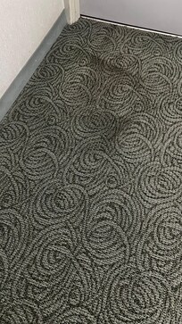 Dirty carpet